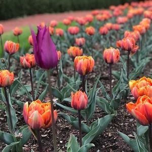 Meet your Posher, Claire